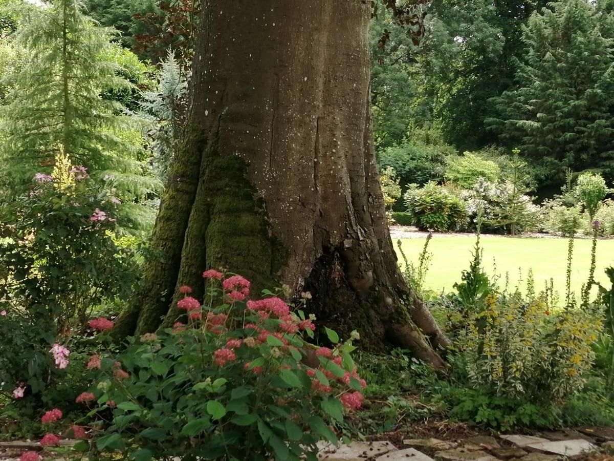Chambre E Andre Le Domaine Des Jardins De Bracquetuit Exteriér fotografie